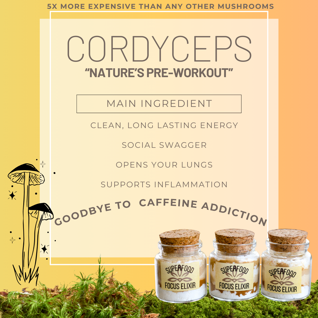 Superfood Focus Elixir