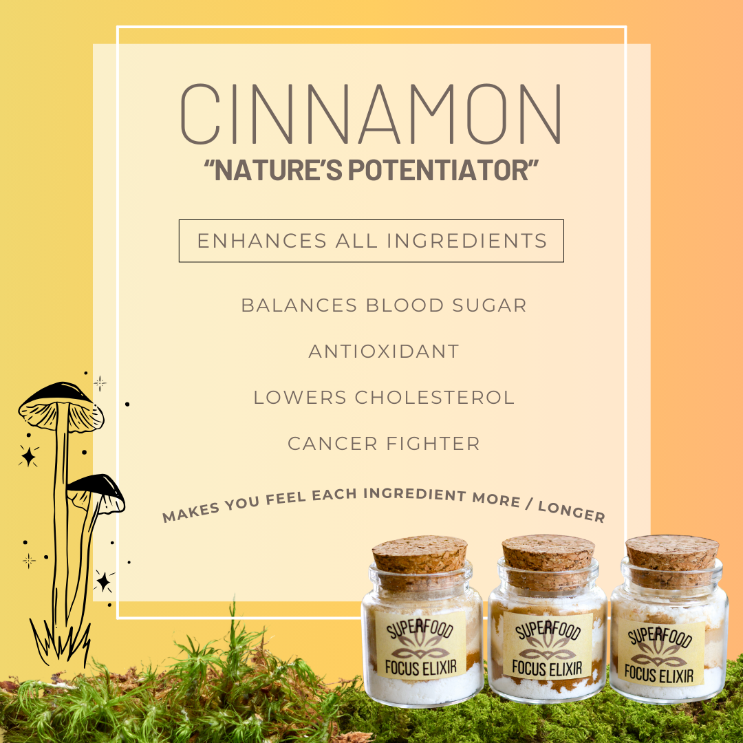 Superfood Focus Elixir