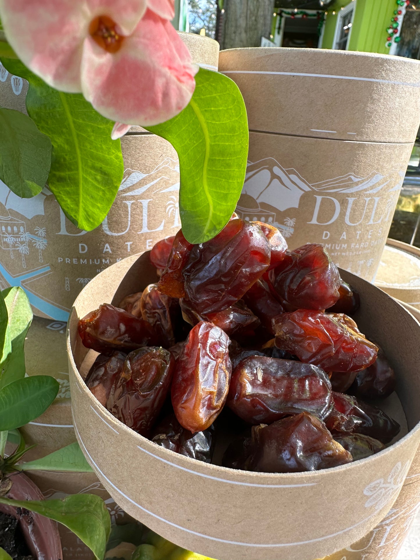 Premium Fard Dates