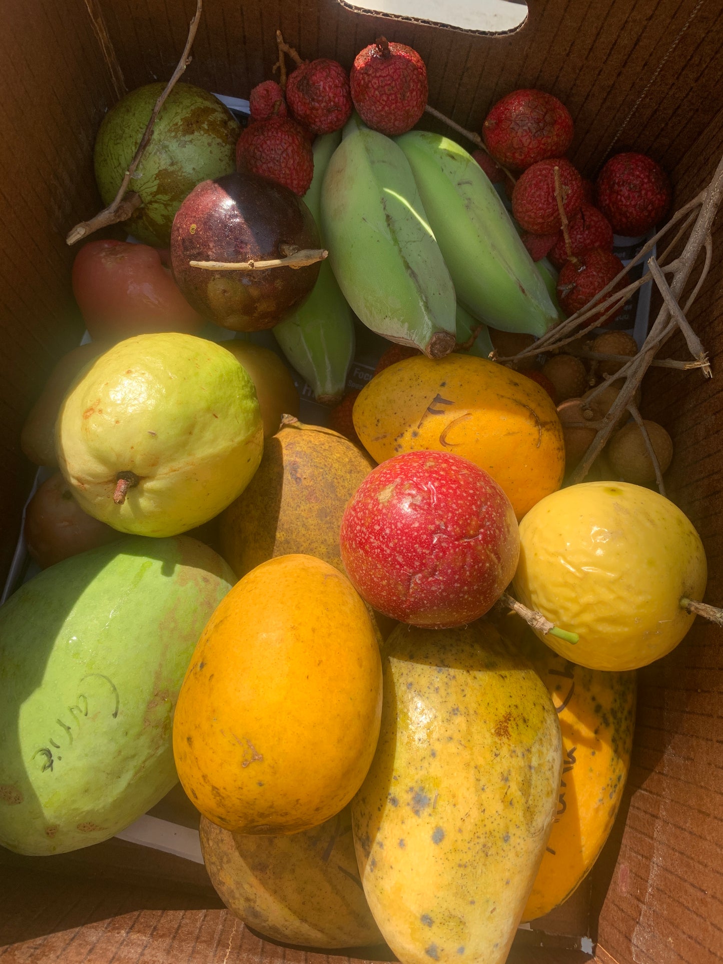 Tropical Summer Fruit CSA