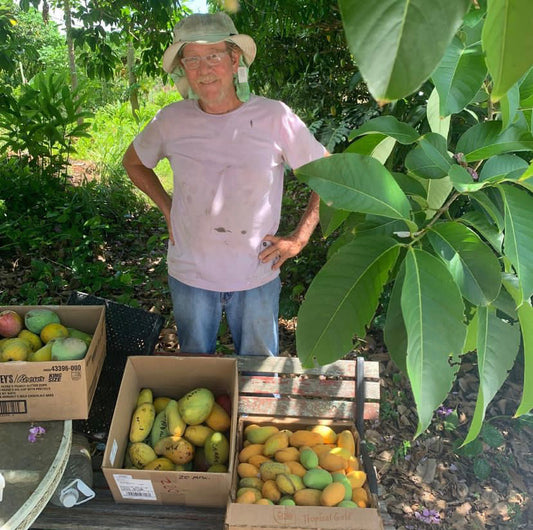 8 Week Mango Club Membership