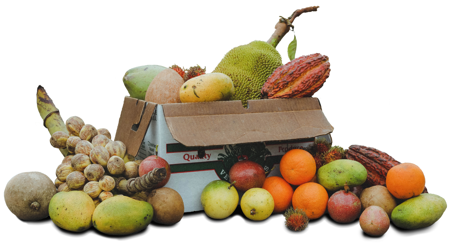 Monthly Subscription Boxes